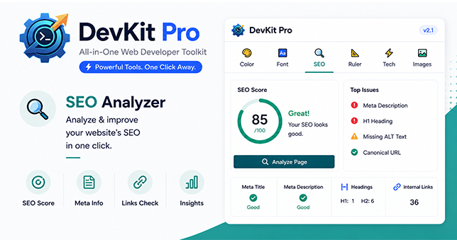 DevKit Pro SEO analyzer feature panel showing a 100 out of 100 SEO health score